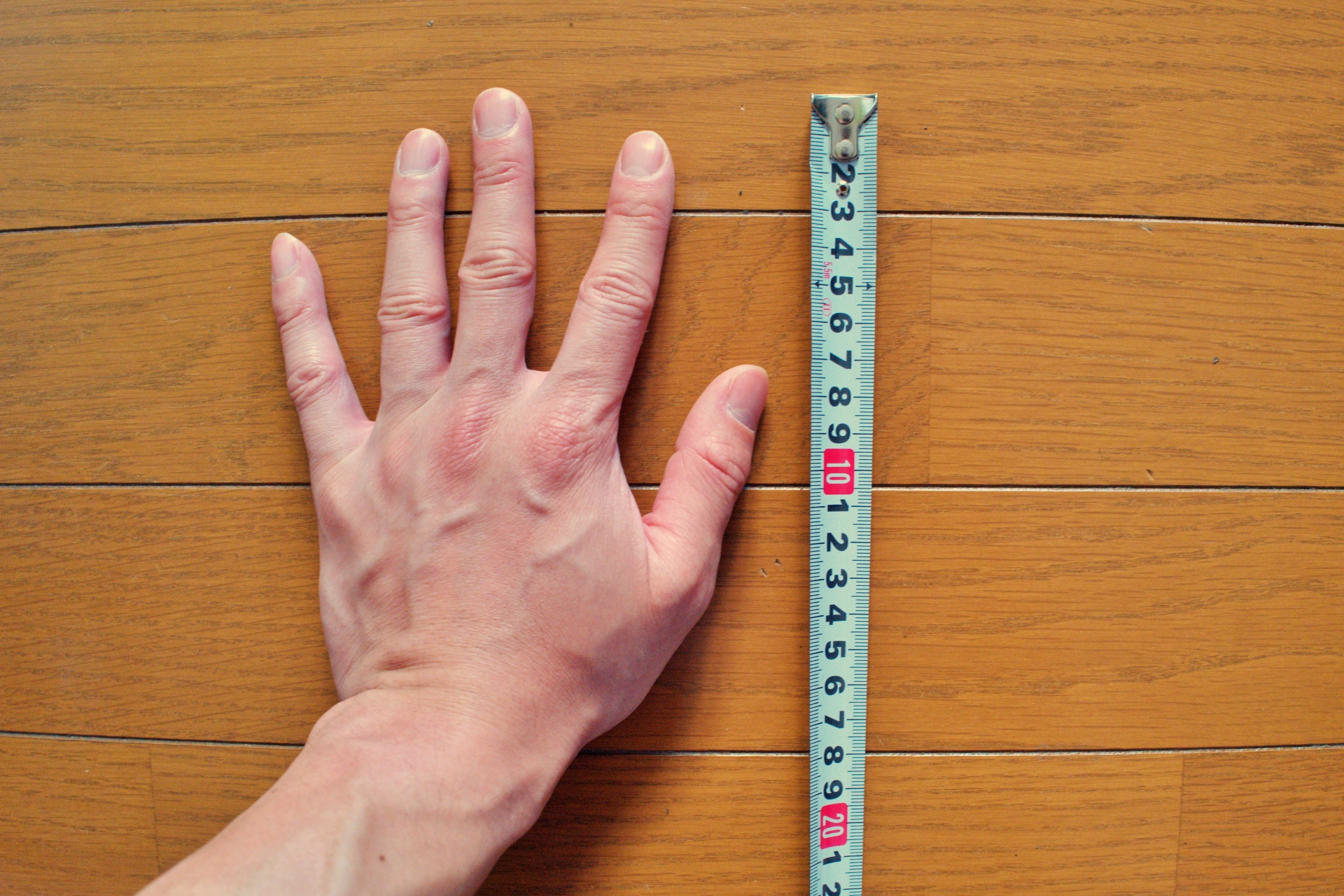 手を定規で測る画像
